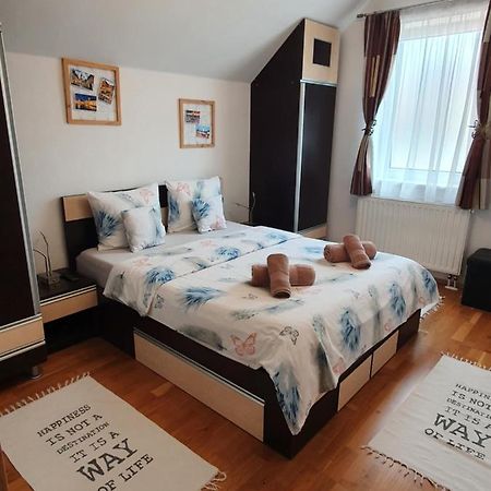 Smiley Apartment Sibiu Exterior foto